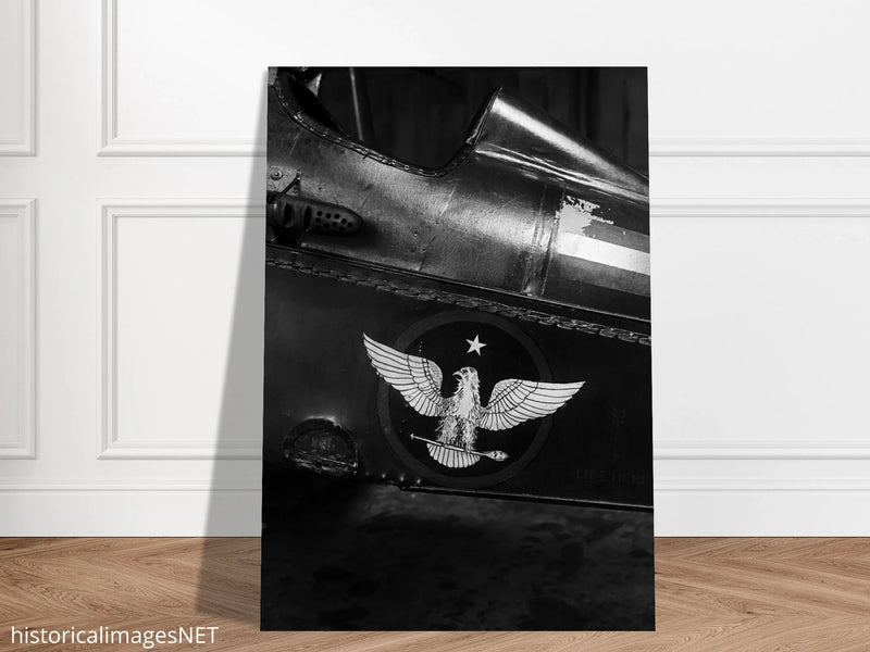 Eagle emblem on airplane Vintage aircraft old photograph reproduction