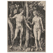 Adam and Eve by Albrecht Dürer
