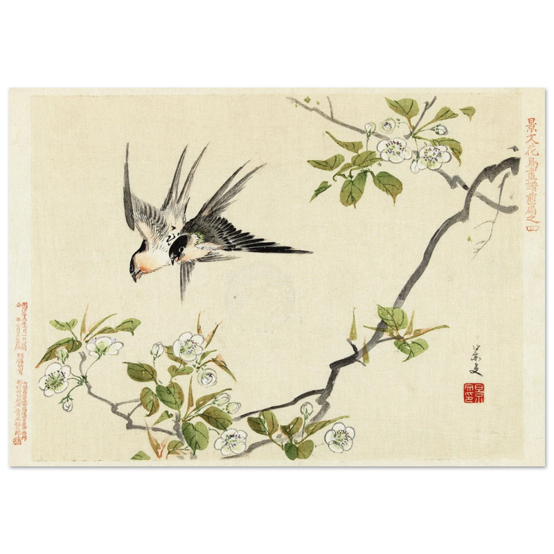 Two swallows by Matsumura Keibun, 1892 .