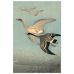 Ohara Koson White fronted geese in flight.