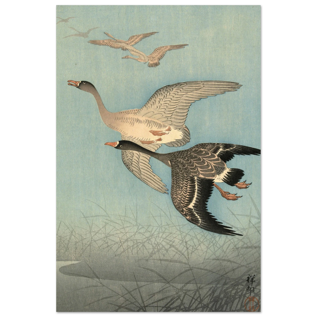 Ohara Koson White fronted geese in flight.