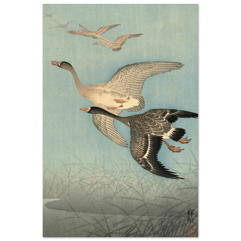 Ohara Koson White fronted geese in flight.