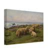 Sheep by the Sea by Rosa Bonheur.