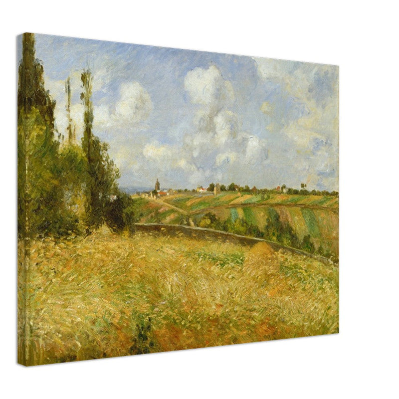 A Rye Field, Hill of Gratte Coqs Pontoise by Camille Pissarro 1877.