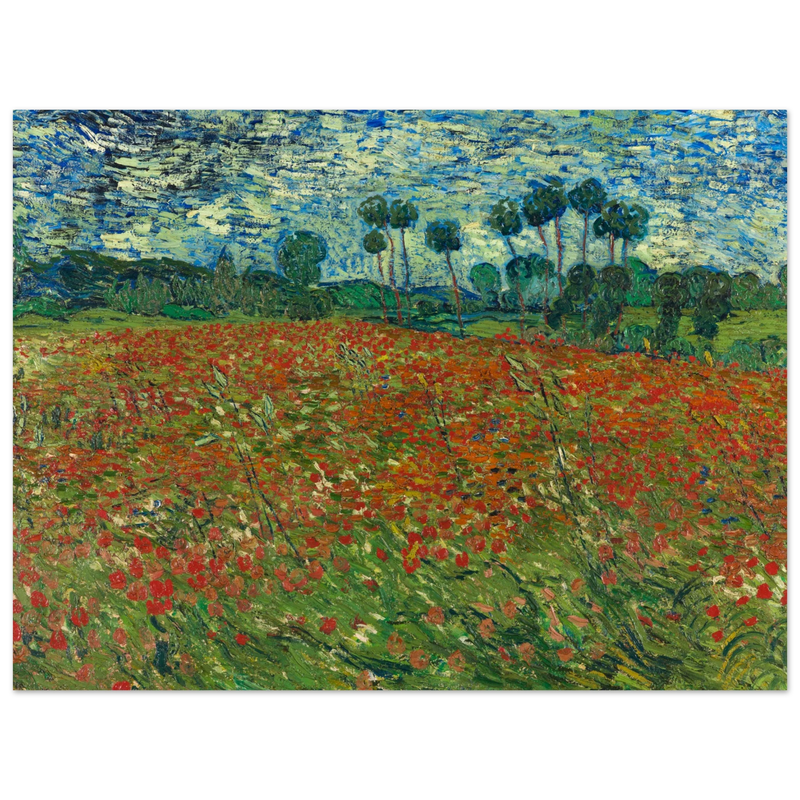 Poppy field by Vincent Van Gogh