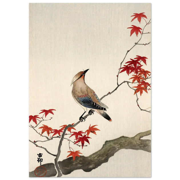 Japanese waxwing on maple by Ohara Koson