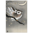 Long-eared owl in ginkgo by Ohara Koson, ,