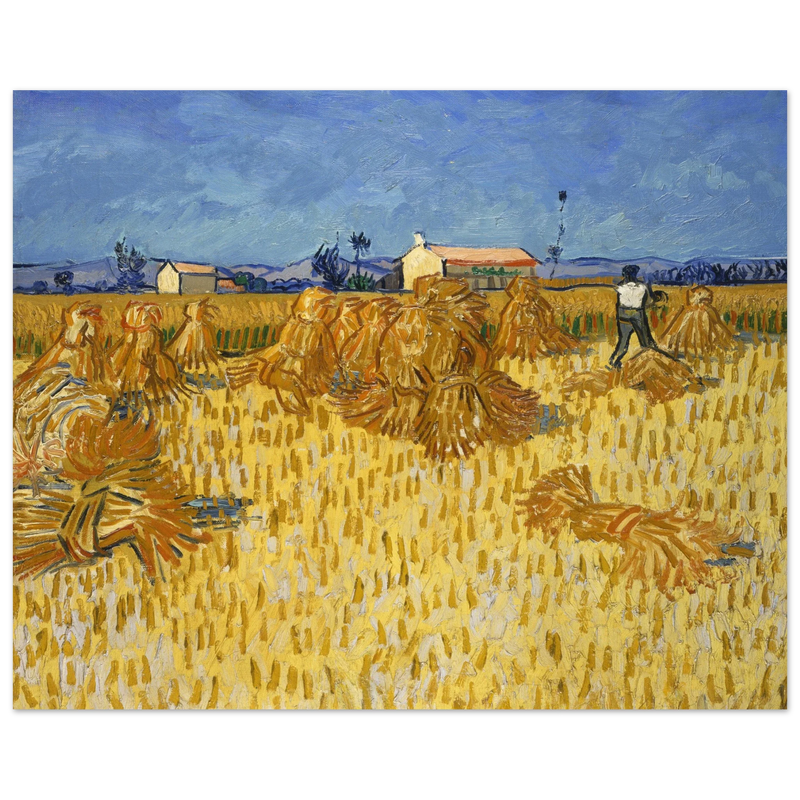 Corn Harvest in Provence by Vincent Van Gogh