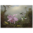 Cattleya Orchid with Two Brazilian Hummingbirds by Martin Johnson Heade