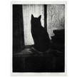 The Cat poster reproduction Author : Cristopher Richard Wynne Nevinson