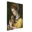 Portrait of a young lady holding a cat by Antonio d'Ubertino Verdi, Bachiacca