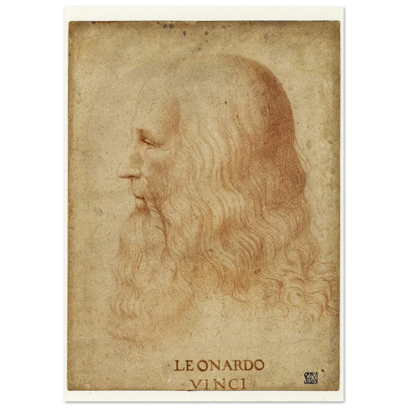 Portrait of Leonardo da Vinci by anonimous artist 1510-1530 .