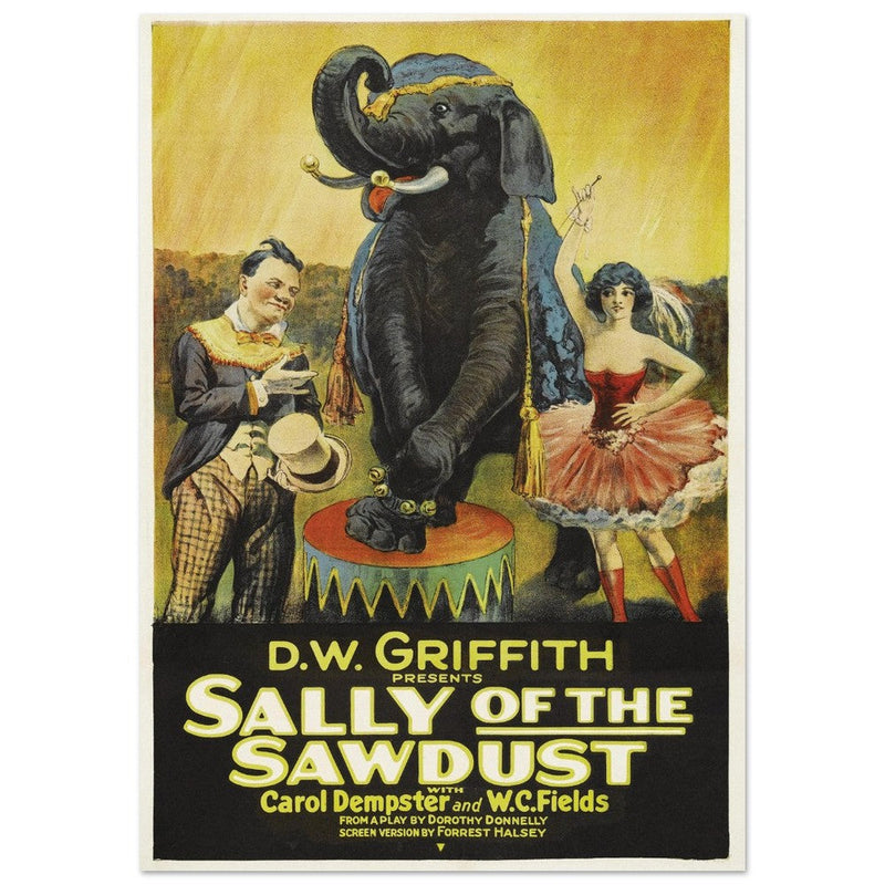 Sally of the Sawdust by D.W Griffith movie poster.