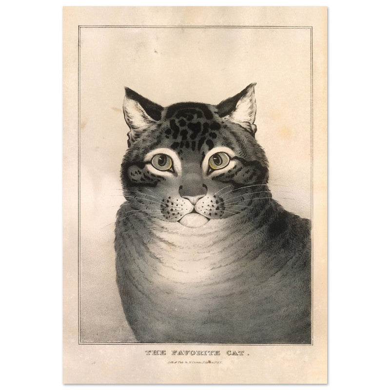 The Favorite Cat poster  Author: Nathaniel Currier 1838