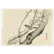 Bird in tree with white blossom by Matsumura Keibun, 1892