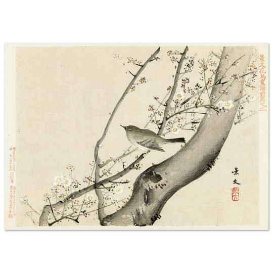 Bird in tree with white blossom by Matsumura Keibun, 1892