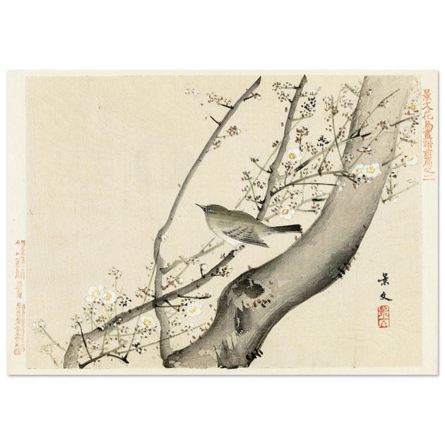 Bird in tree with white blossom by Matsumura Keibun, 1892
