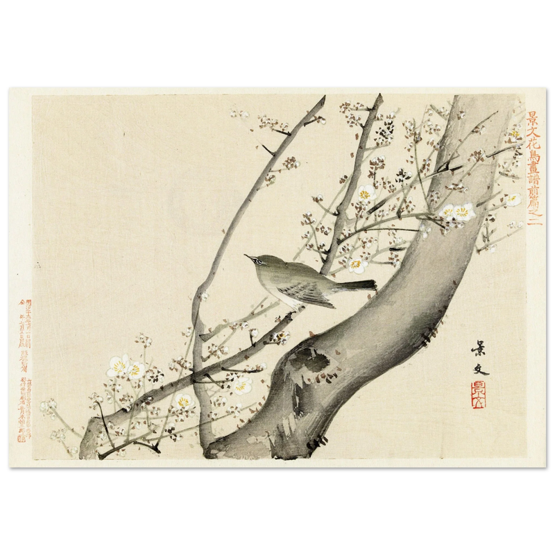 Bird in tree with white blossom by Matsumura Keibun, 1892