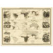 Mammiferous animal distribution old map  poster 1848 by Alexander Keith Johnston