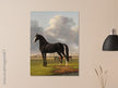Antique painting of black horse by Anthony Oberman 1828. The fast one in a Meadow.