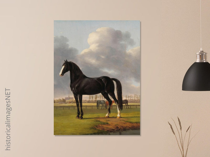 Antique painting of black horse by Anthony Oberman 1828. The fast one in a Meadow.