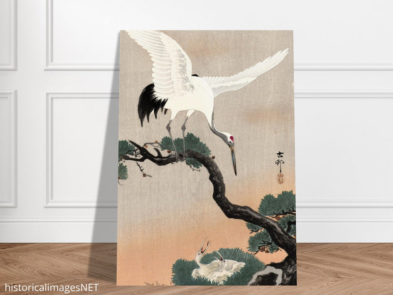 Japanese crane on pine branch by Ohara Koson