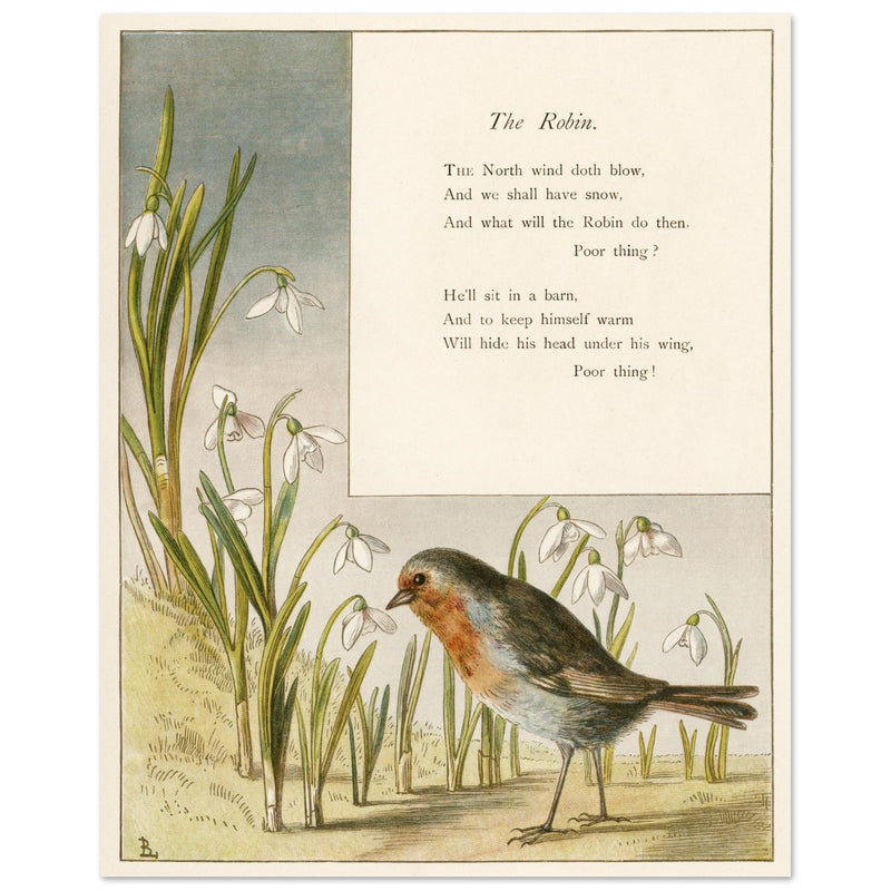The Robin poem About Robins bird illustration by Lady Lindsay.