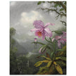 Hummingbird Perched on the Orchid Plant  by Martin Johnson Heade