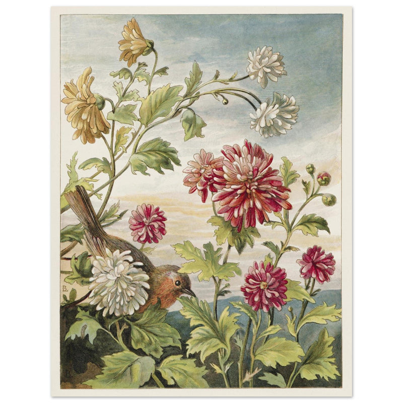 About Robins vintage cute bird illustration by Lady Lindsay II