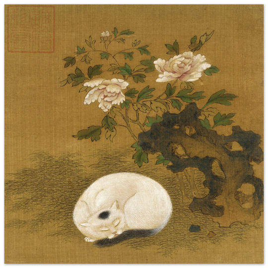 Cat, rock, and peonies