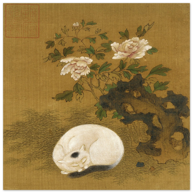 Cat, rock, and peonies