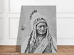 Sitting Bull native american leader.