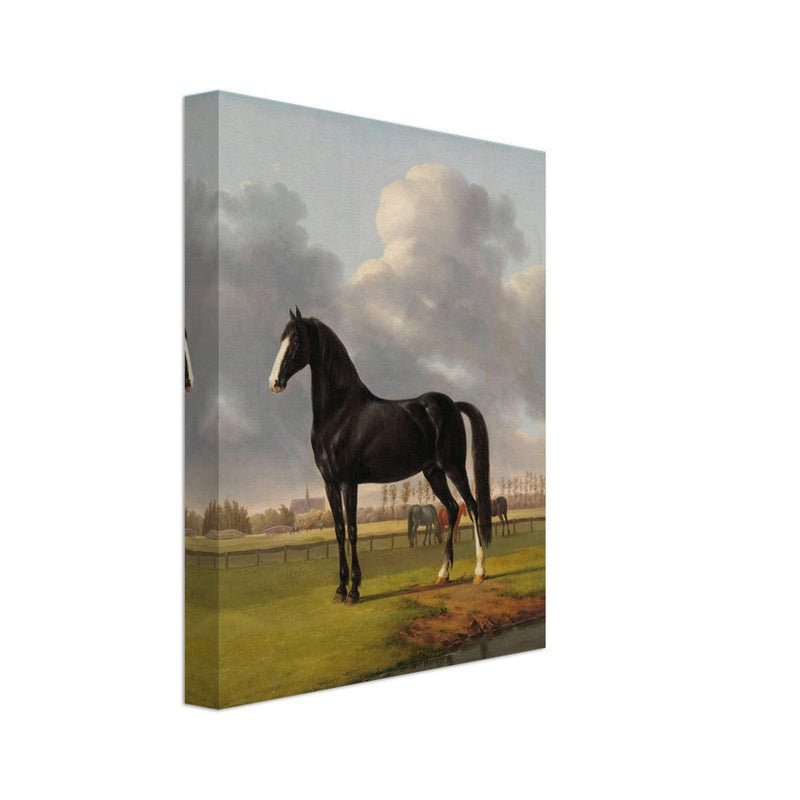 Antique painting of black horse by Anthony Oberman 1828. The fast one in a Meadow.