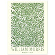 William Morris Willow