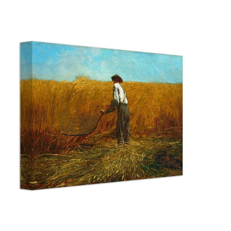 The Veteran in a New Field by Winslow Homer 1865.