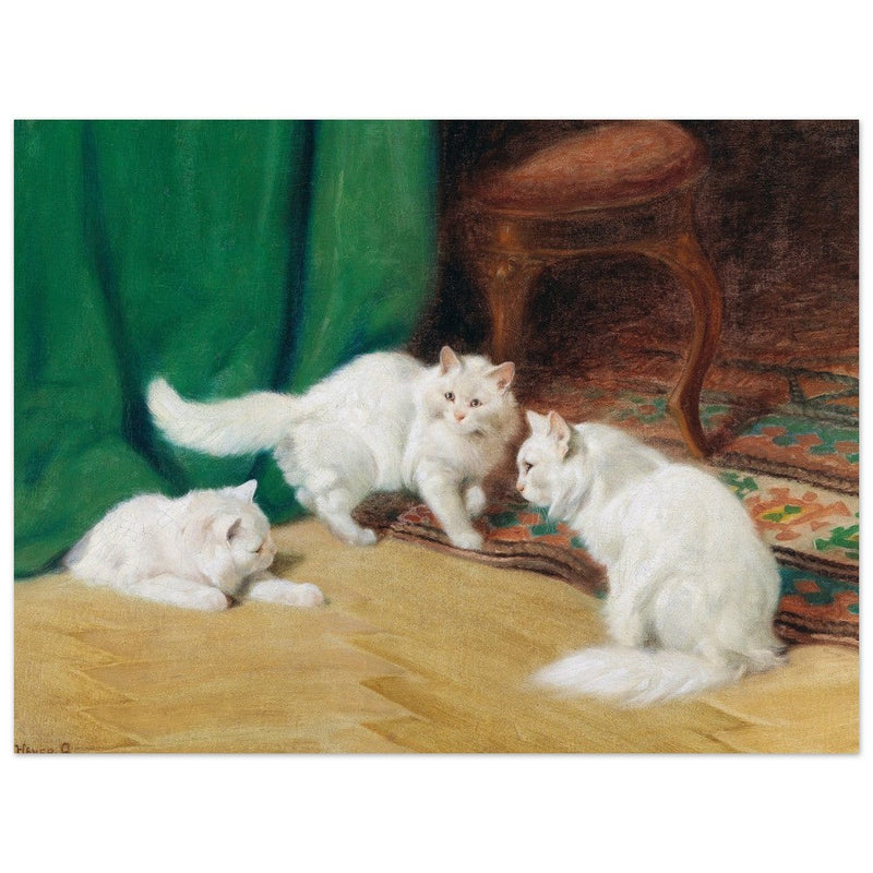 Three white cats playing old painting by Arthur Heyer.