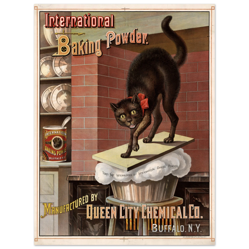 Vintage black cat Baking powder advertisement print 1885