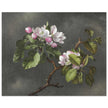 Apple Blossoms flowers by Martin Johnson Heade