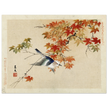 Bird flying at autumn branches by Matsumura Keibun, 1892 .