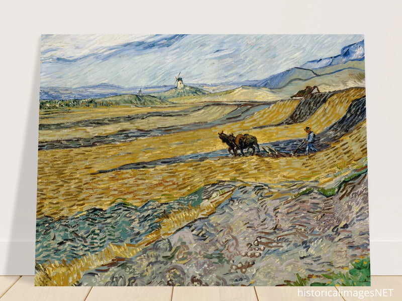 Enclosed Field with Ploughman by Vincent Van Gogh