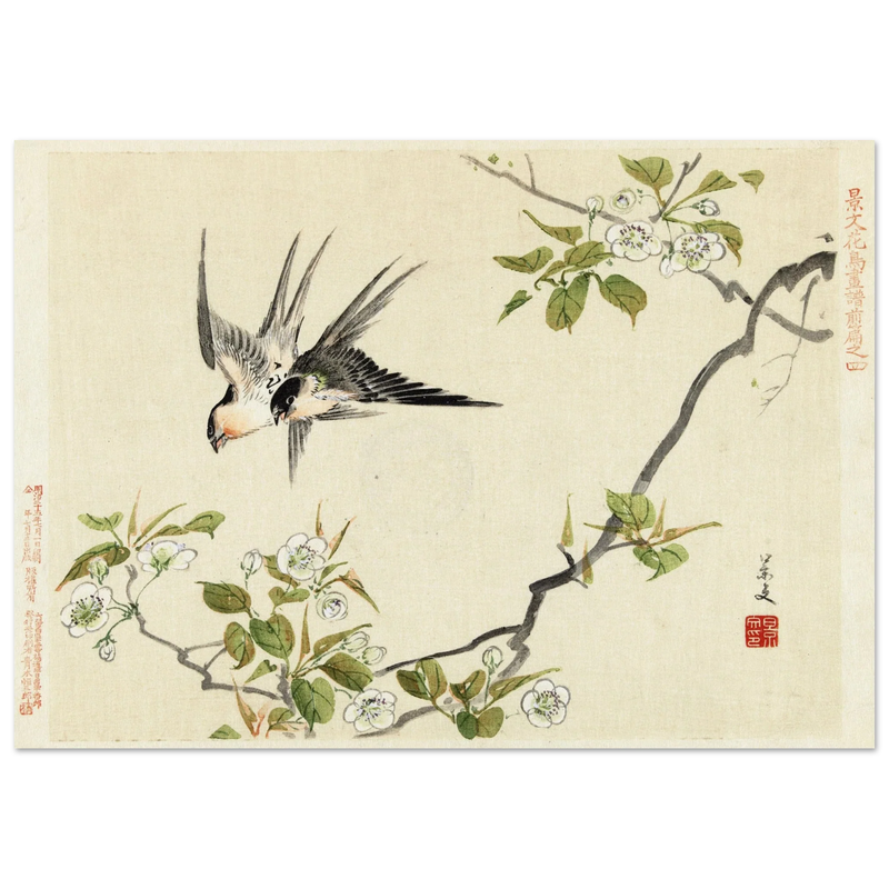 Two swallows by Matsumura Keibun, 1892 .