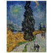 Country road in Provence by night Vicent Van Gogh