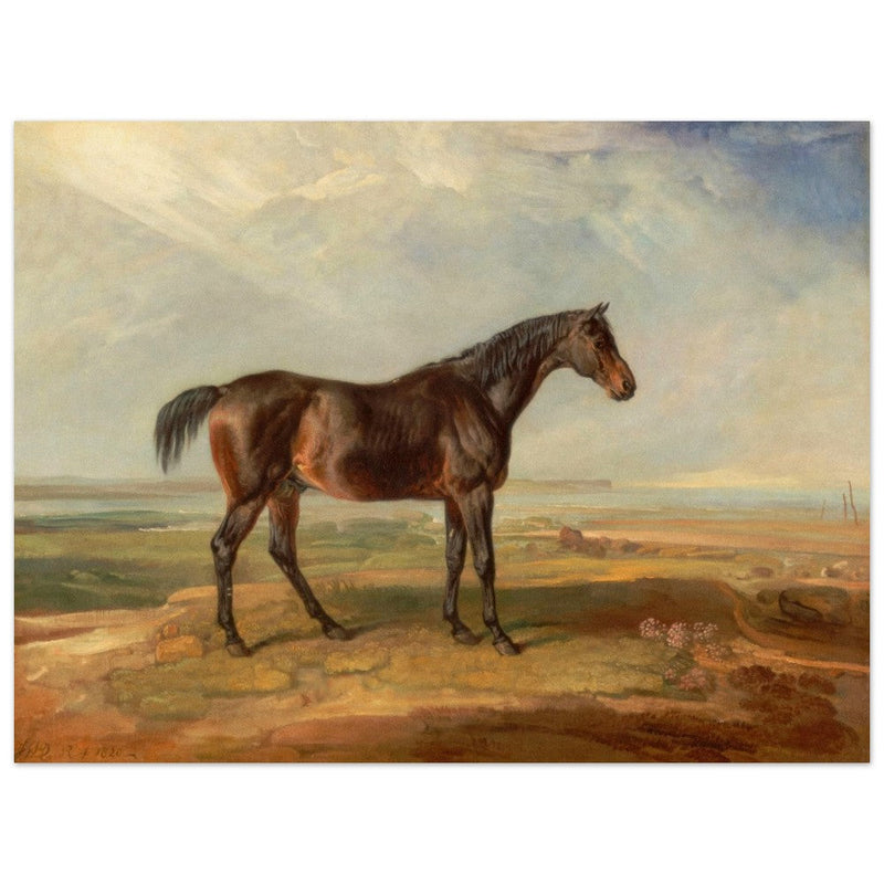 Old painting of brown horse by James Ward 1820.