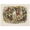 Richard Doyle illustration for Fairyland book. Elves and owls
