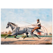 Harness cart horse racing. Grey Eddie by Nathaniel Currier 1855.