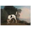 Foxhound dog painting by George Stubbs 1760 .