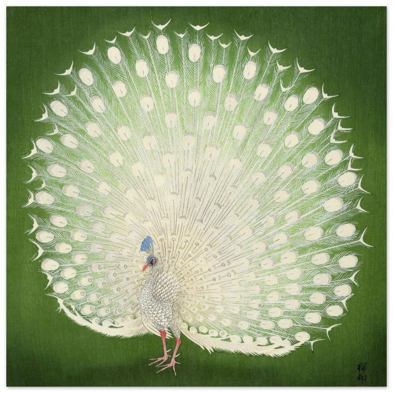 Peacock woodblock print by Ohara Koson