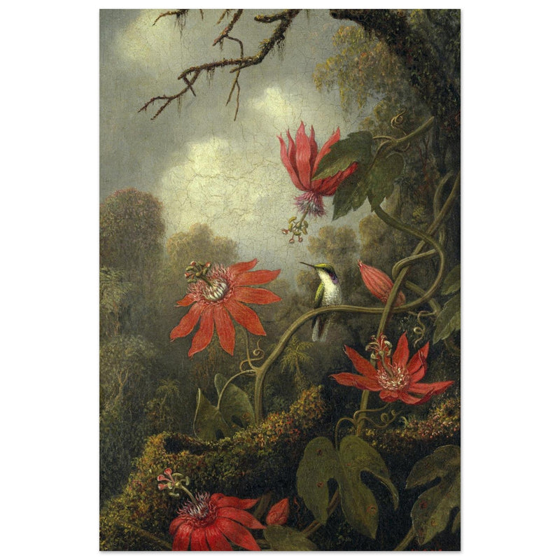 Hummingbird and Passionflowers by Martin Johnson Heade