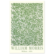 William Morris Willow