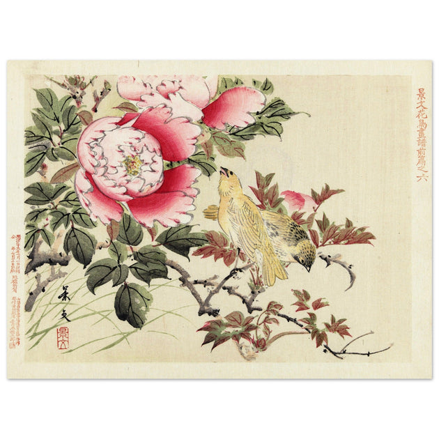 Birds and peonies by Matsumura Keibun, 1892.